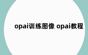 opai训练图像 opai教程